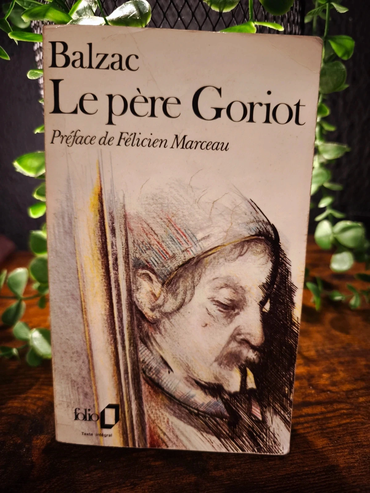 Le père Goriot